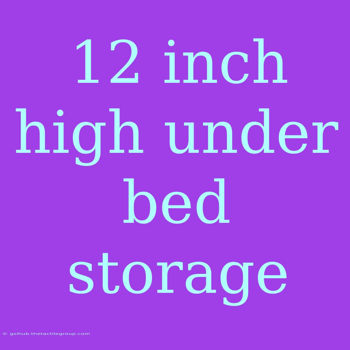 12 Inch High Under Bed Storage