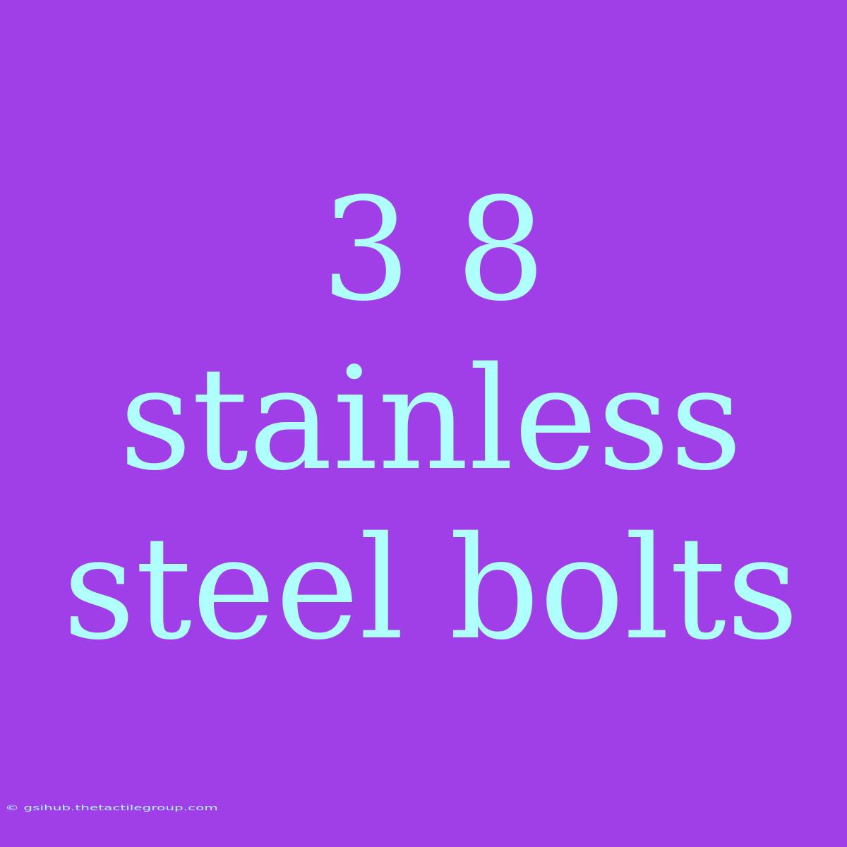 3 8 Stainless Steel Bolts