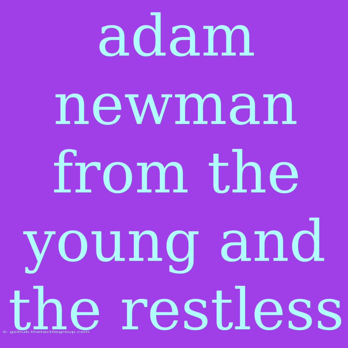 Adam Newman From The Young And The Restless