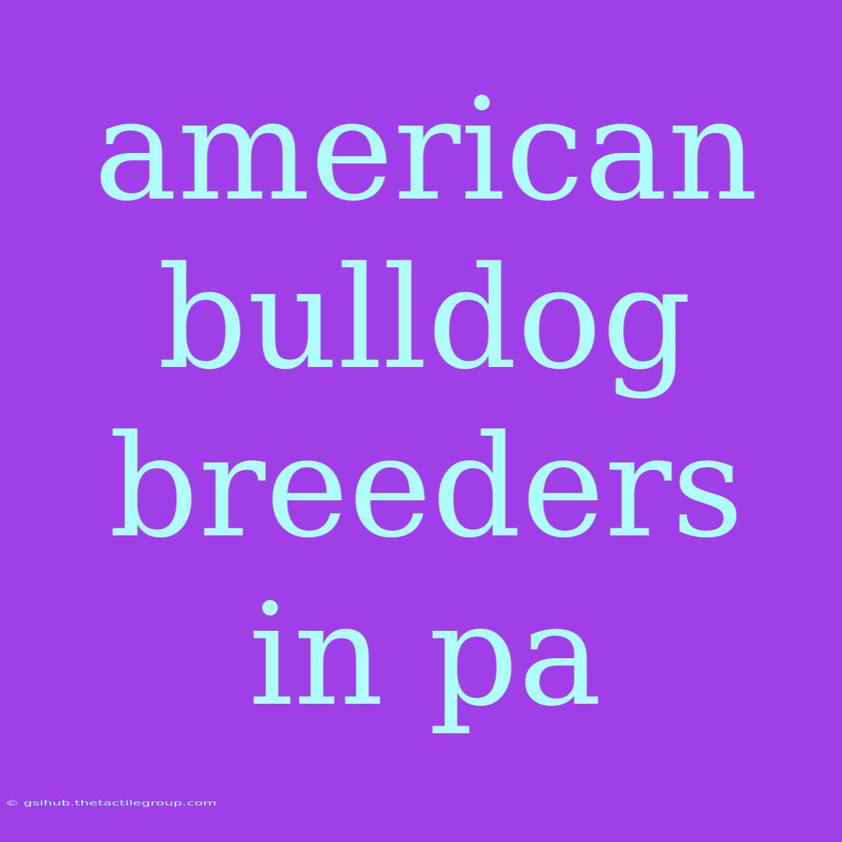 American Bulldog Breeders In Pa