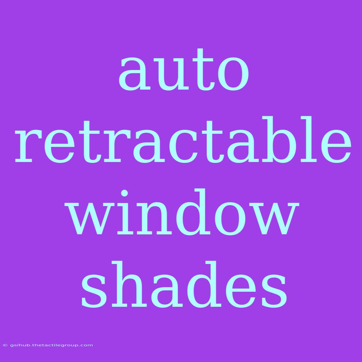 Auto Retractable Window Shades