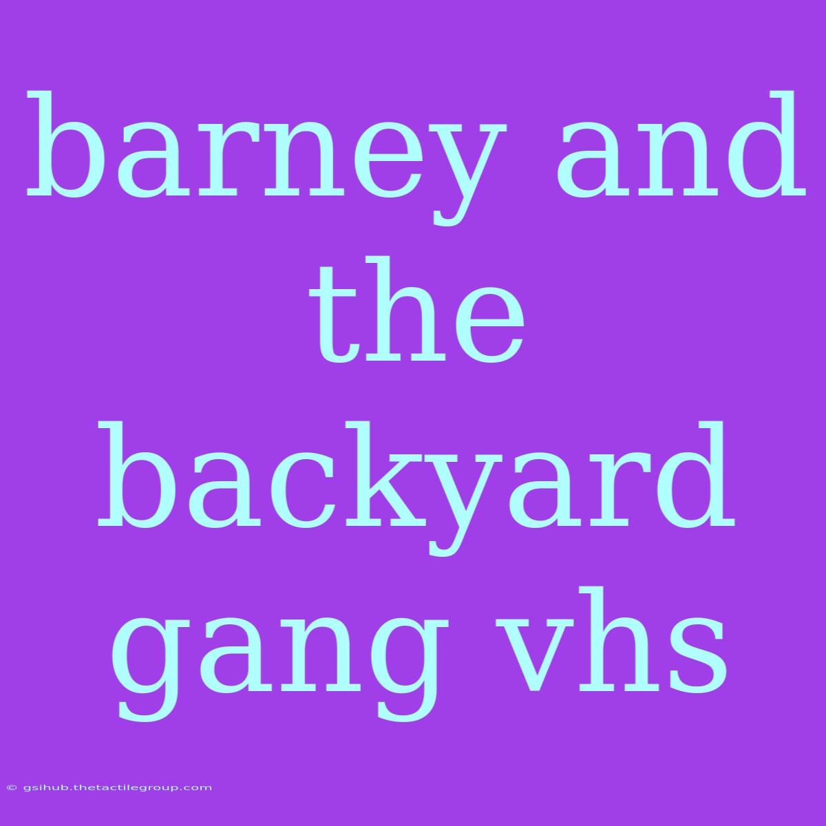 Barney And The Backyard Gang Vhs