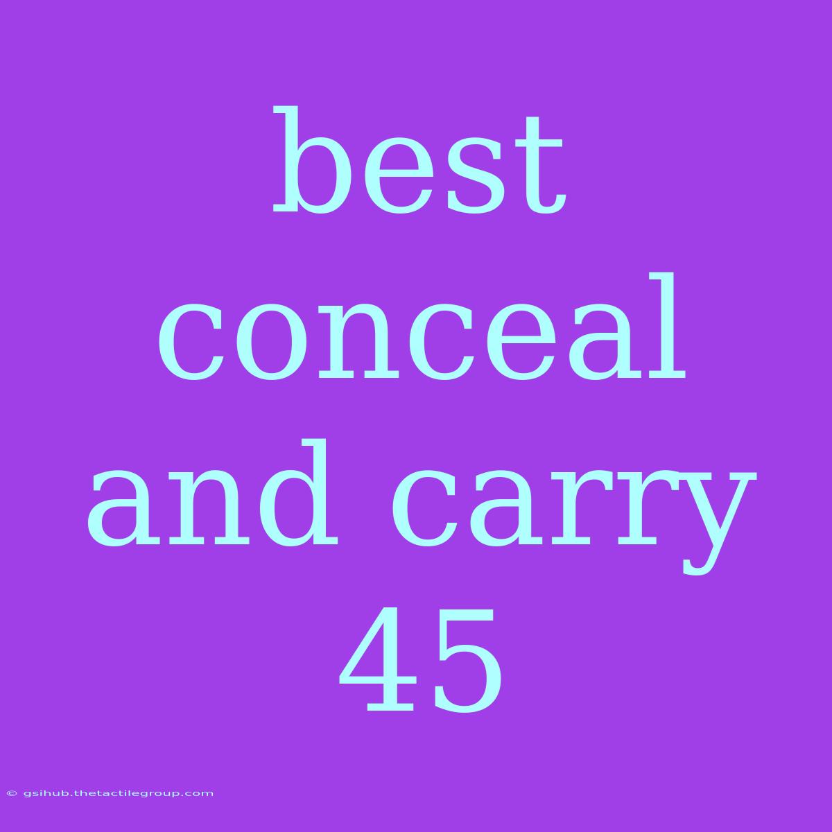 Best Conceal And Carry 45