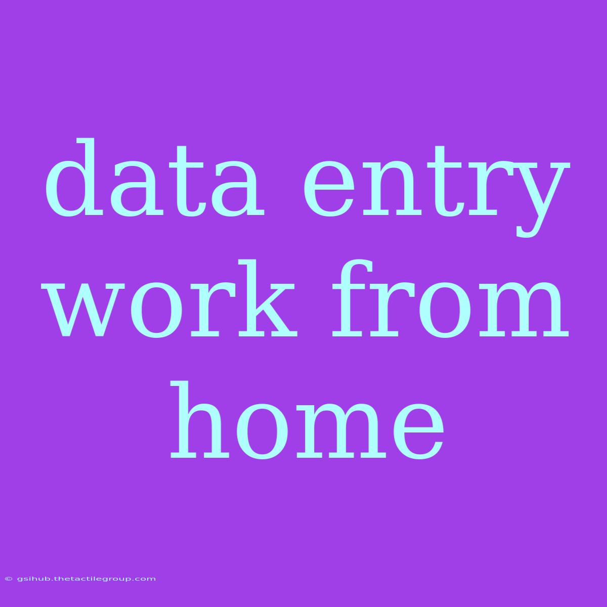 Data Entry Work From Home