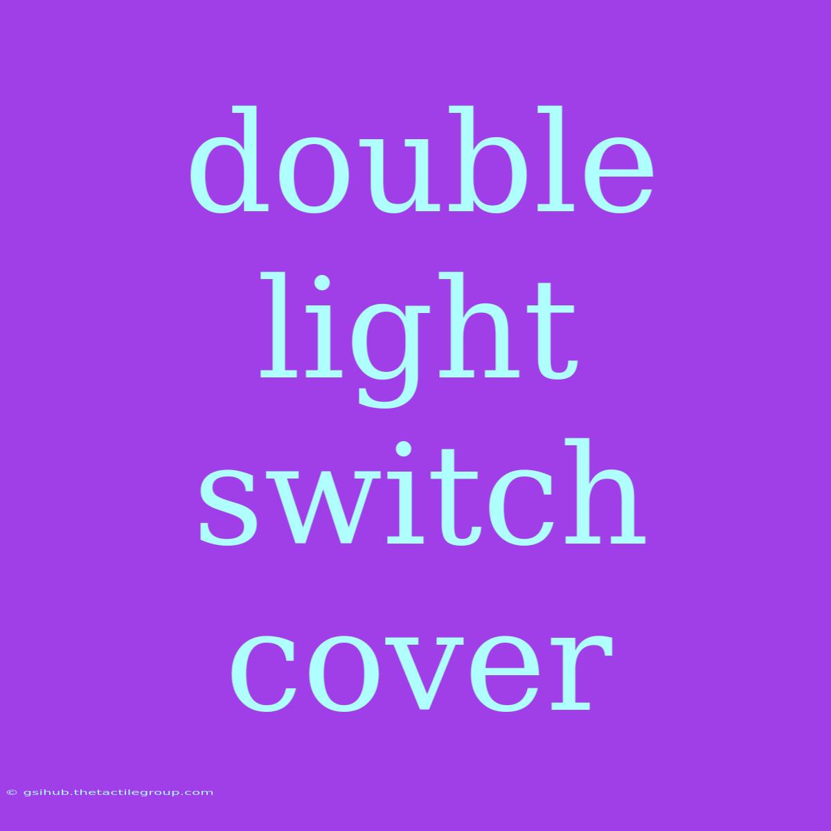 Double Light Switch Cover