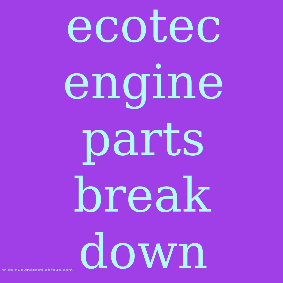 Ecotec Engine Parts Break Down