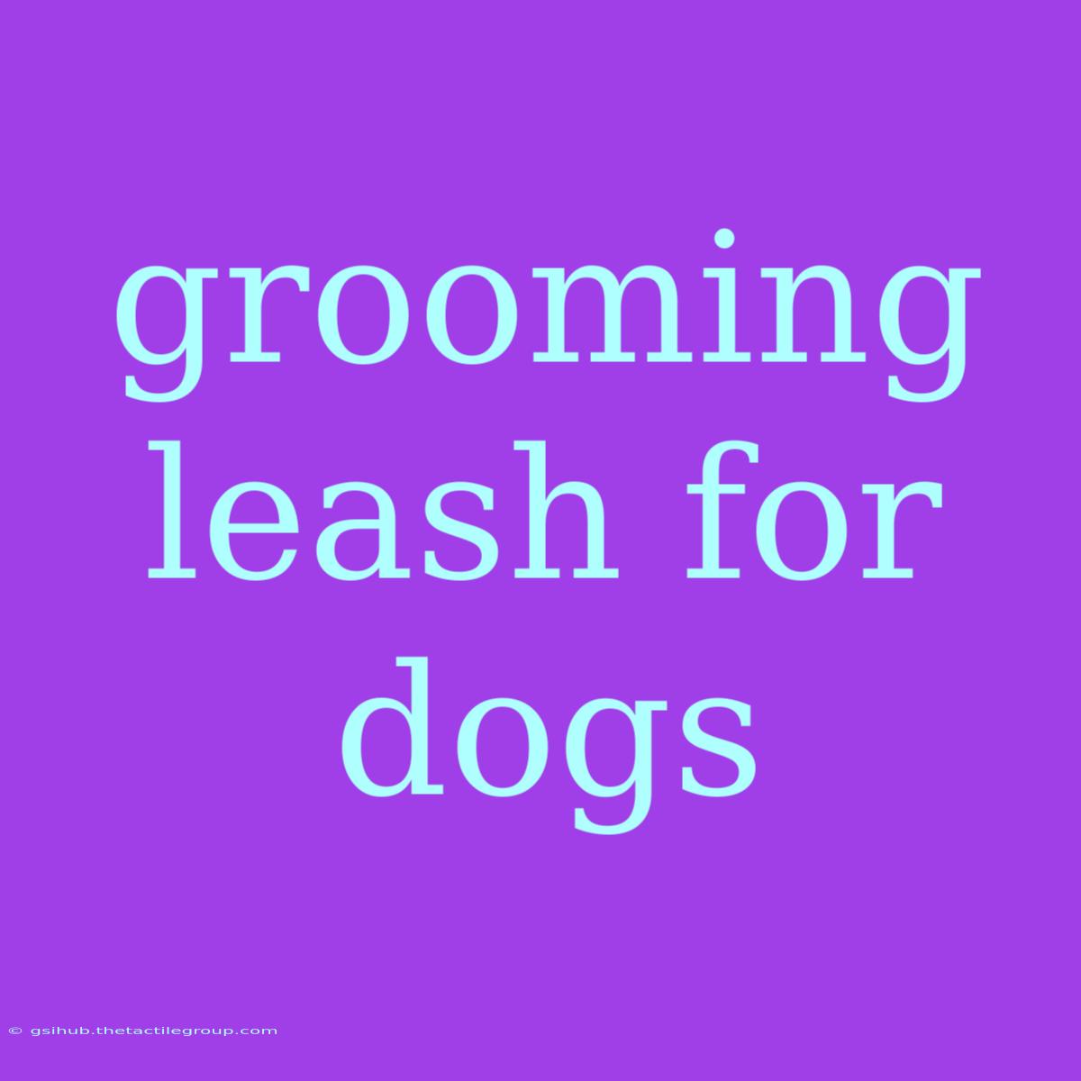 Grooming Leash For Dogs