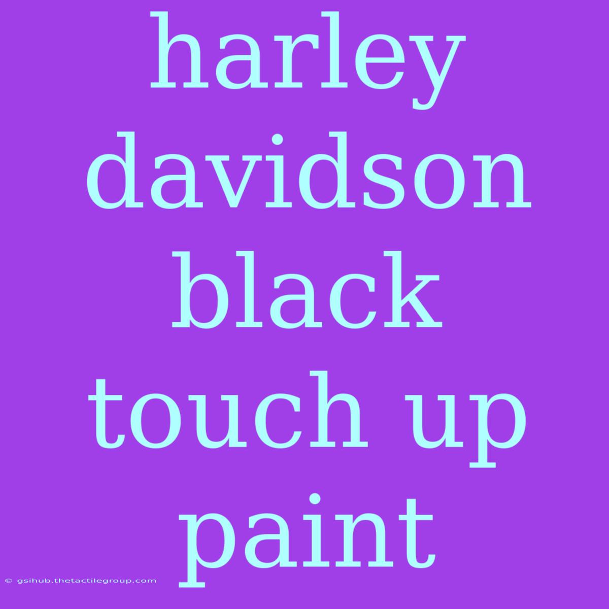 Harley Davidson Black Touch Up Paint