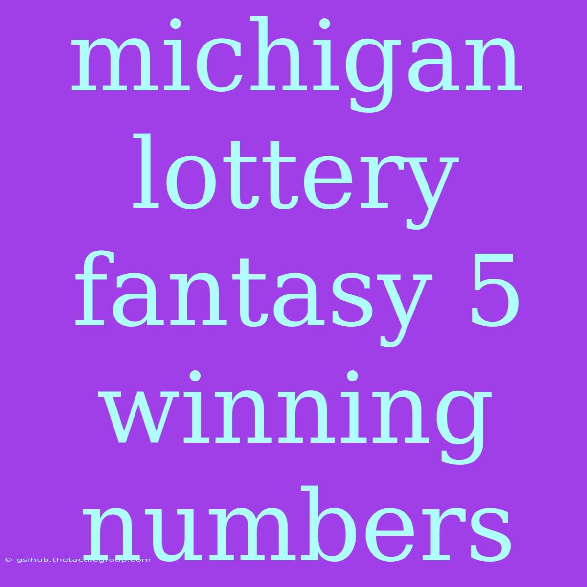 Michigan Lottery Fantasy 5 Winning Numbers