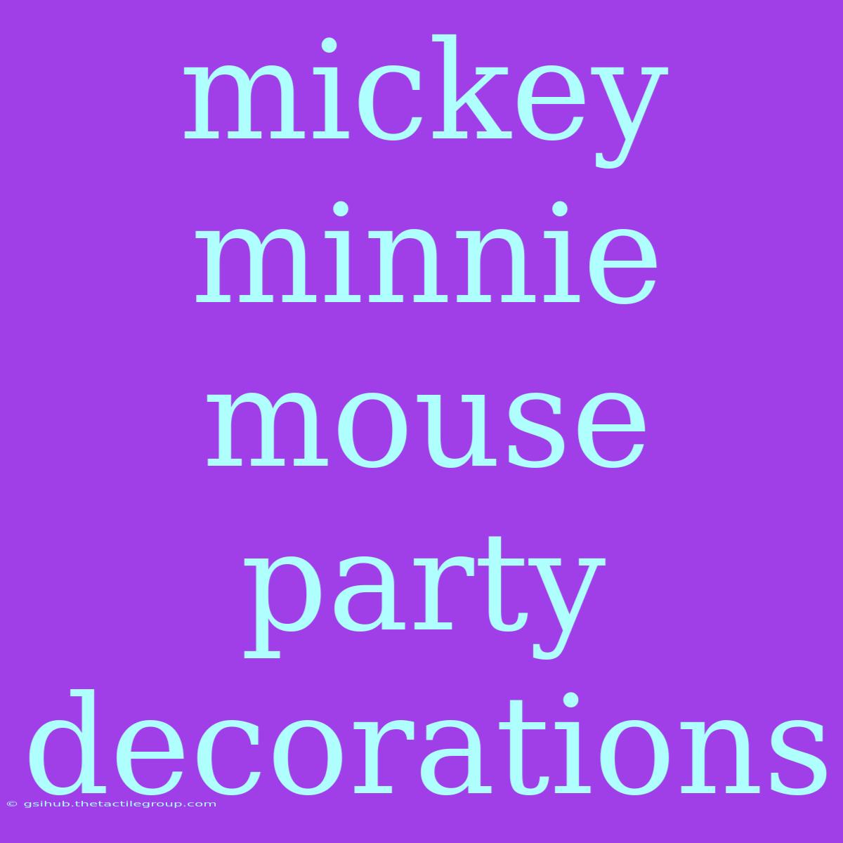 Mickey Minnie Mouse Party Decorations