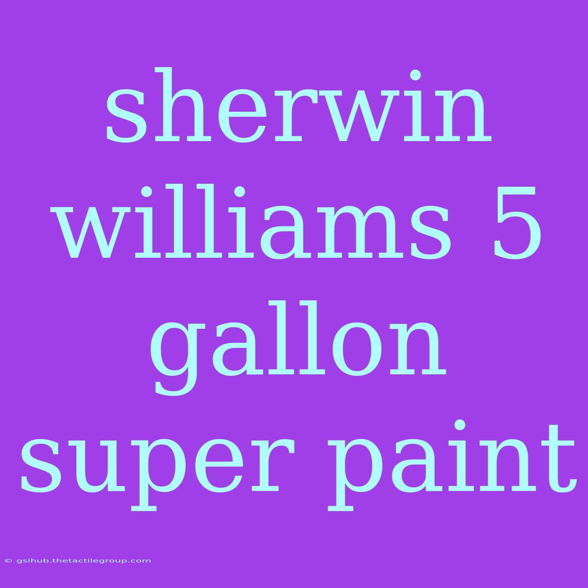 Sherwin Williams 5 Gallon Super Paint